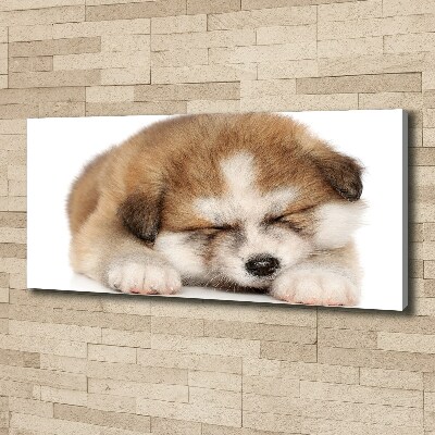 Tableau sur toile Chiot Akita