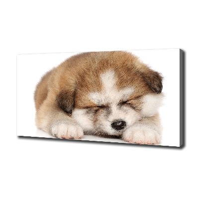 Tableau sur toile Chiot Akita