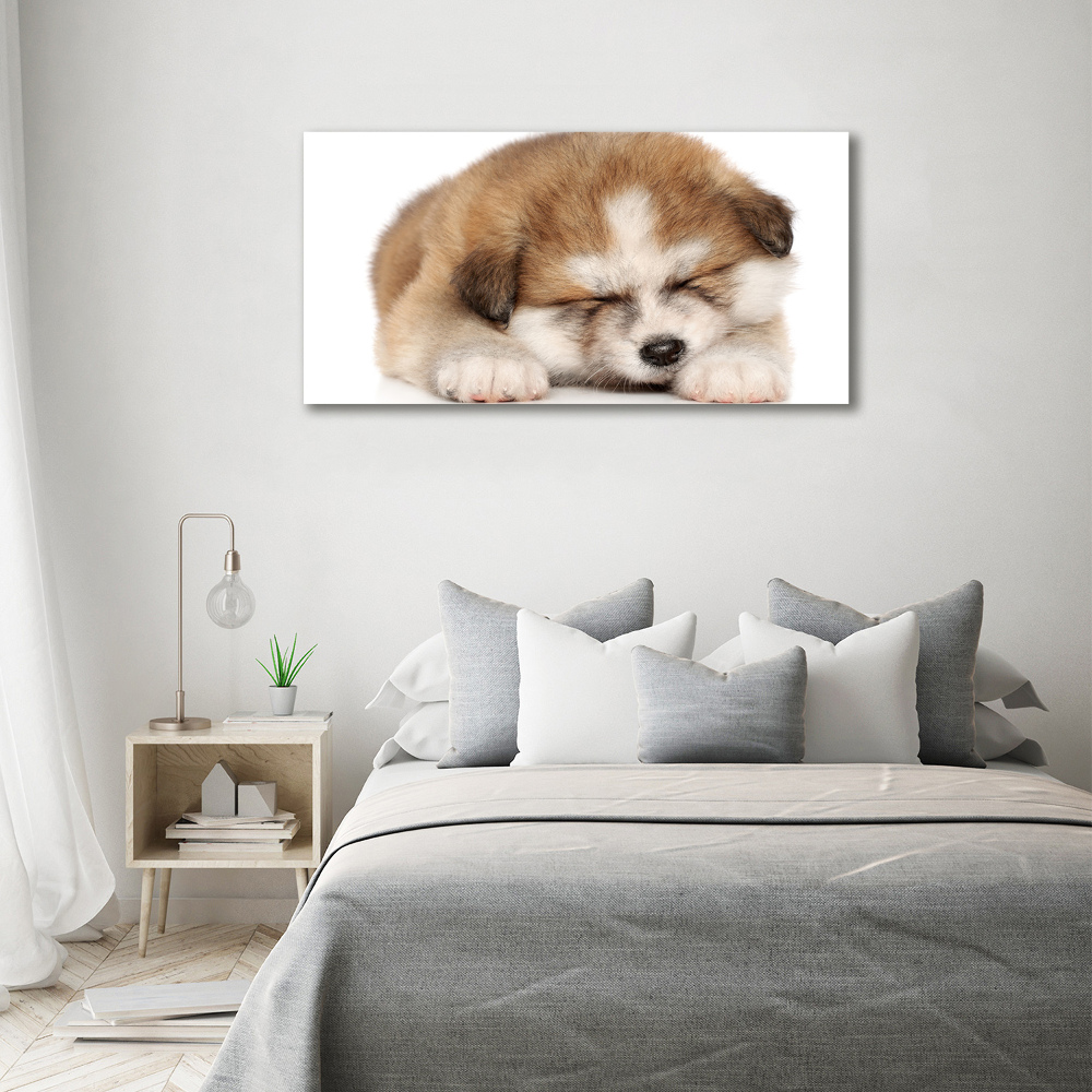 Tableau sur toile Chiot Akita