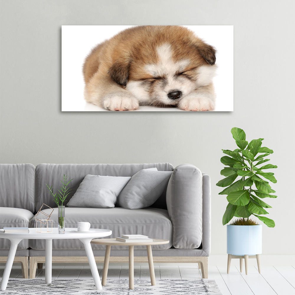 Tableau sur toile Chiot Akita