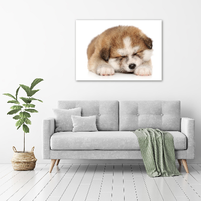 Tableau sur toile Chiot Akita