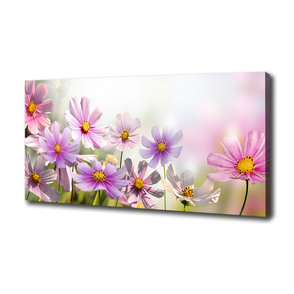 Tableau mural sur toile Fleurs dans un pré