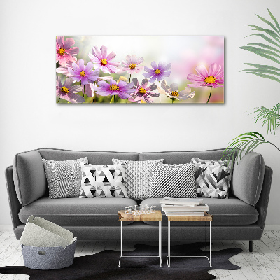 Tableau mural sur toile Fleurs dans un pré