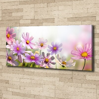 Tableau mural sur toile Fleurs dans un pré