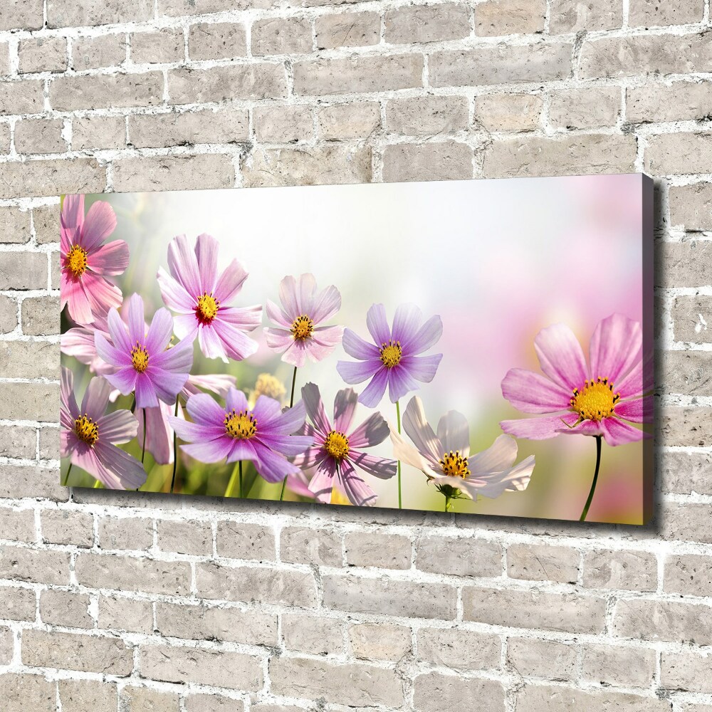 Tableau mural sur toile Fleurs dans un pré