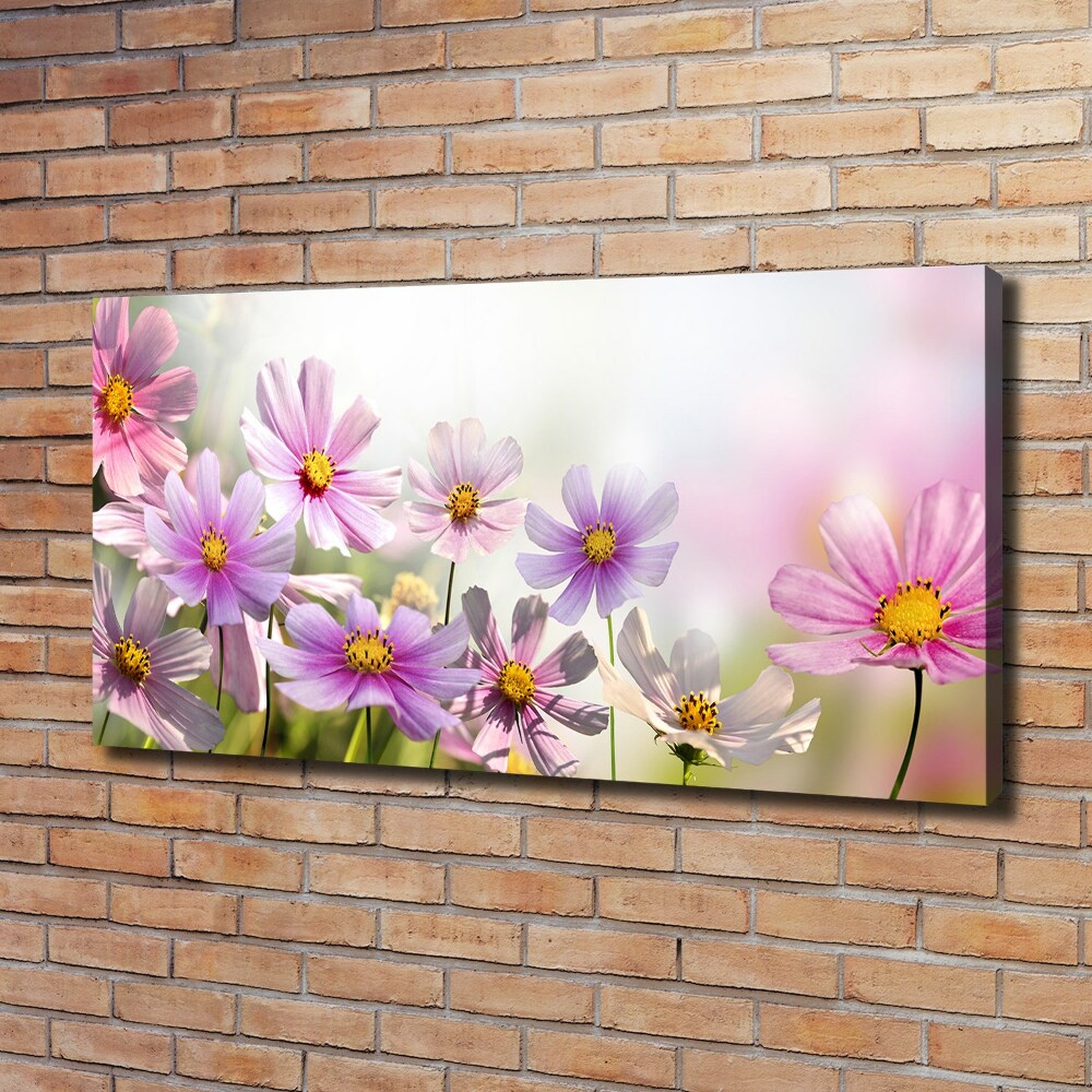 Tableau mural sur toile Fleurs dans un pré