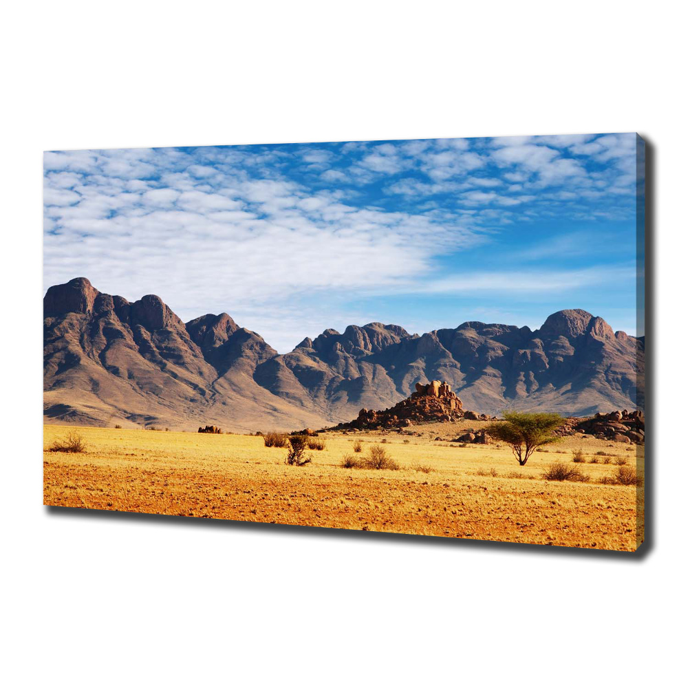 Tableau mural sur toile Rochers en Namibie