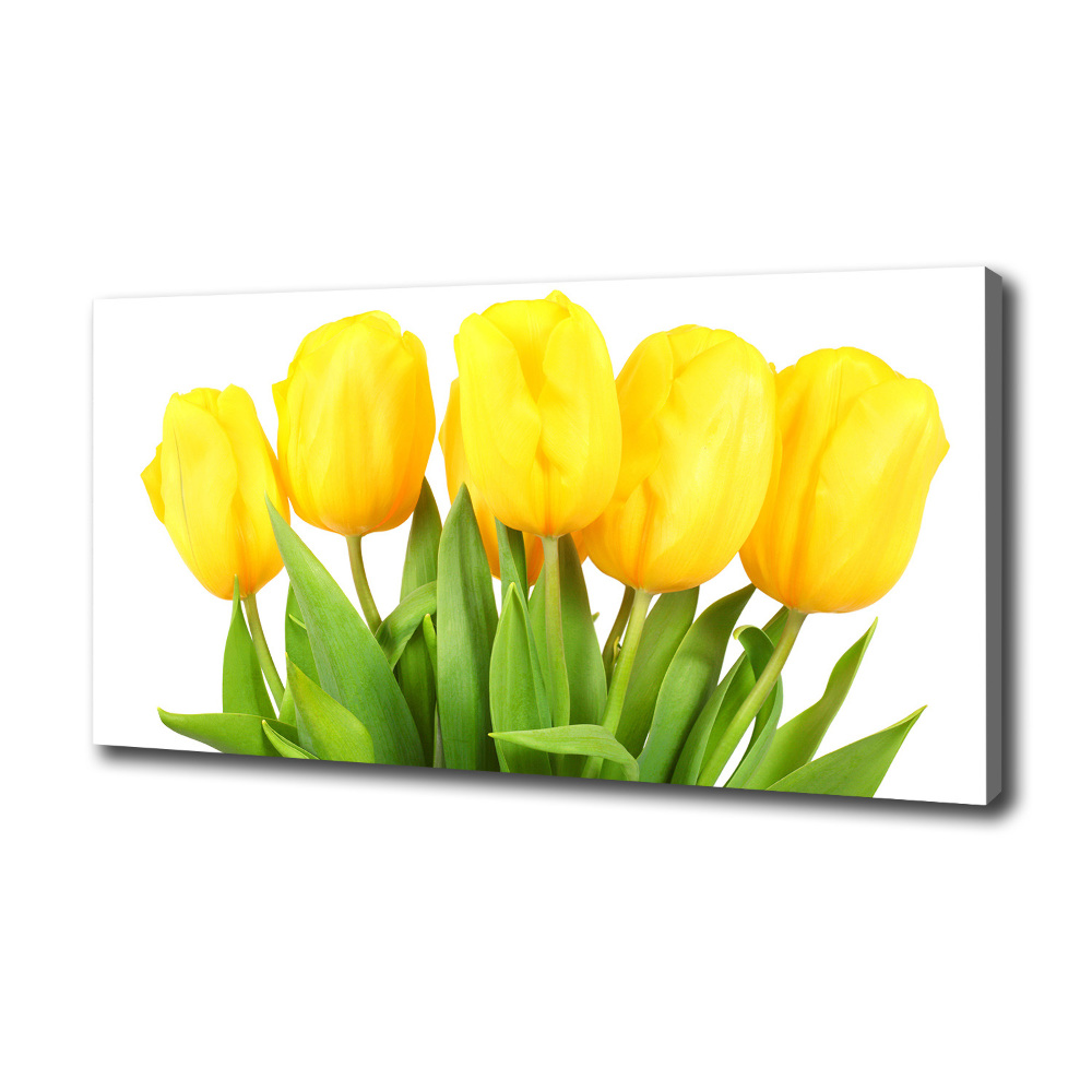 Tableau photo sur toile Tulipes jaunes