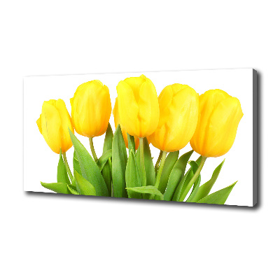 Tableau photo sur toile Tulipes jaunes