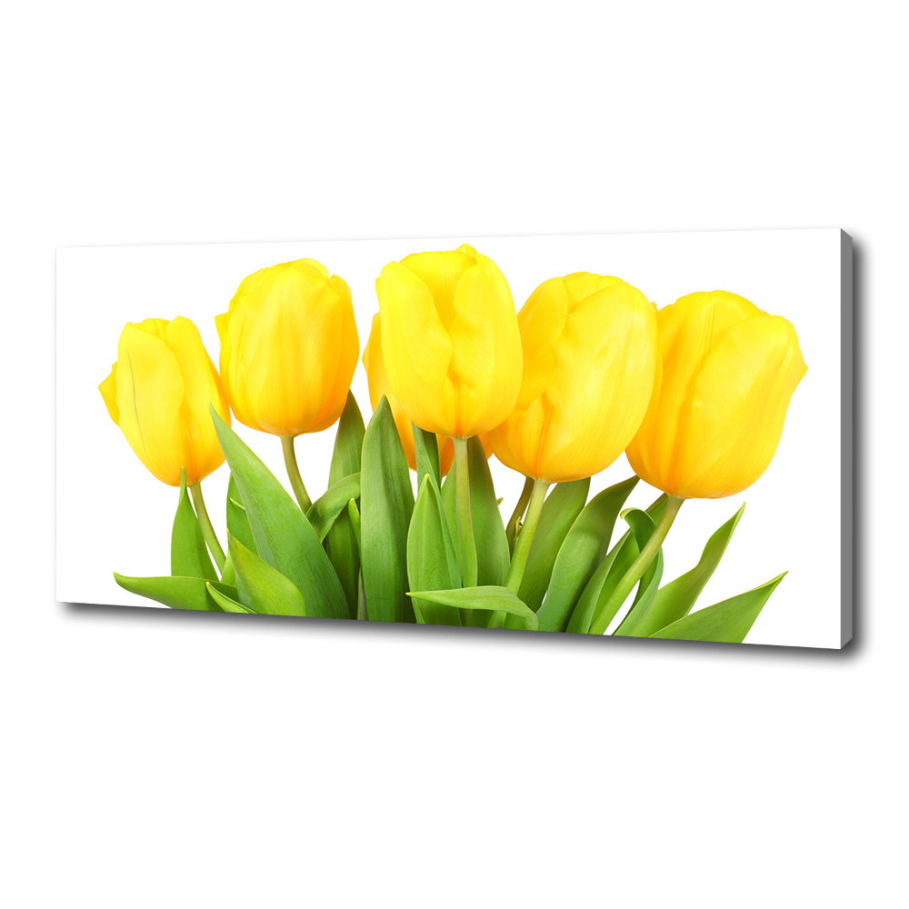 Tableau photo sur toile Tulipes jaunes