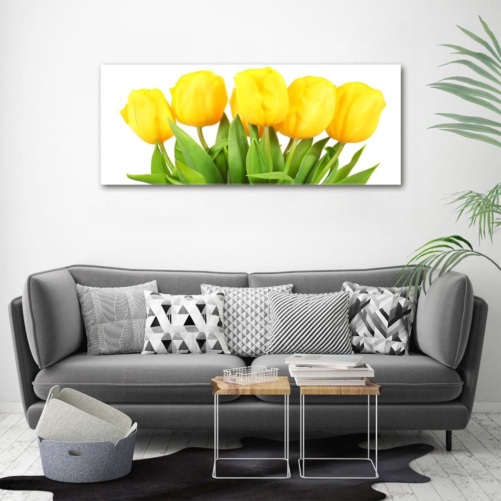 Tableau photo sur toile Tulipes jaunes