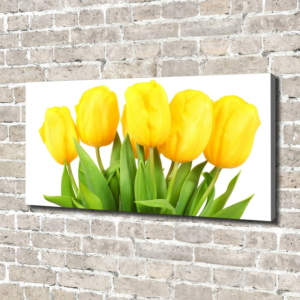 Tableau photo sur toile Tulipes jaunes