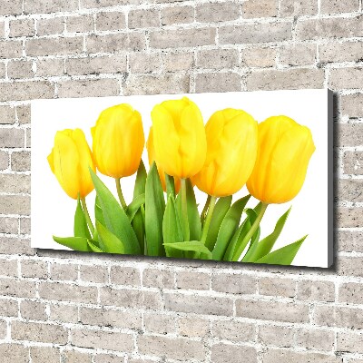 Tableau photo sur toile Tulipes jaunes