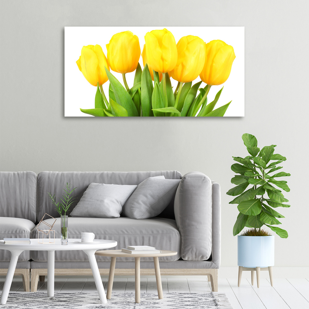 Tableau photo sur toile Tulipes jaunes