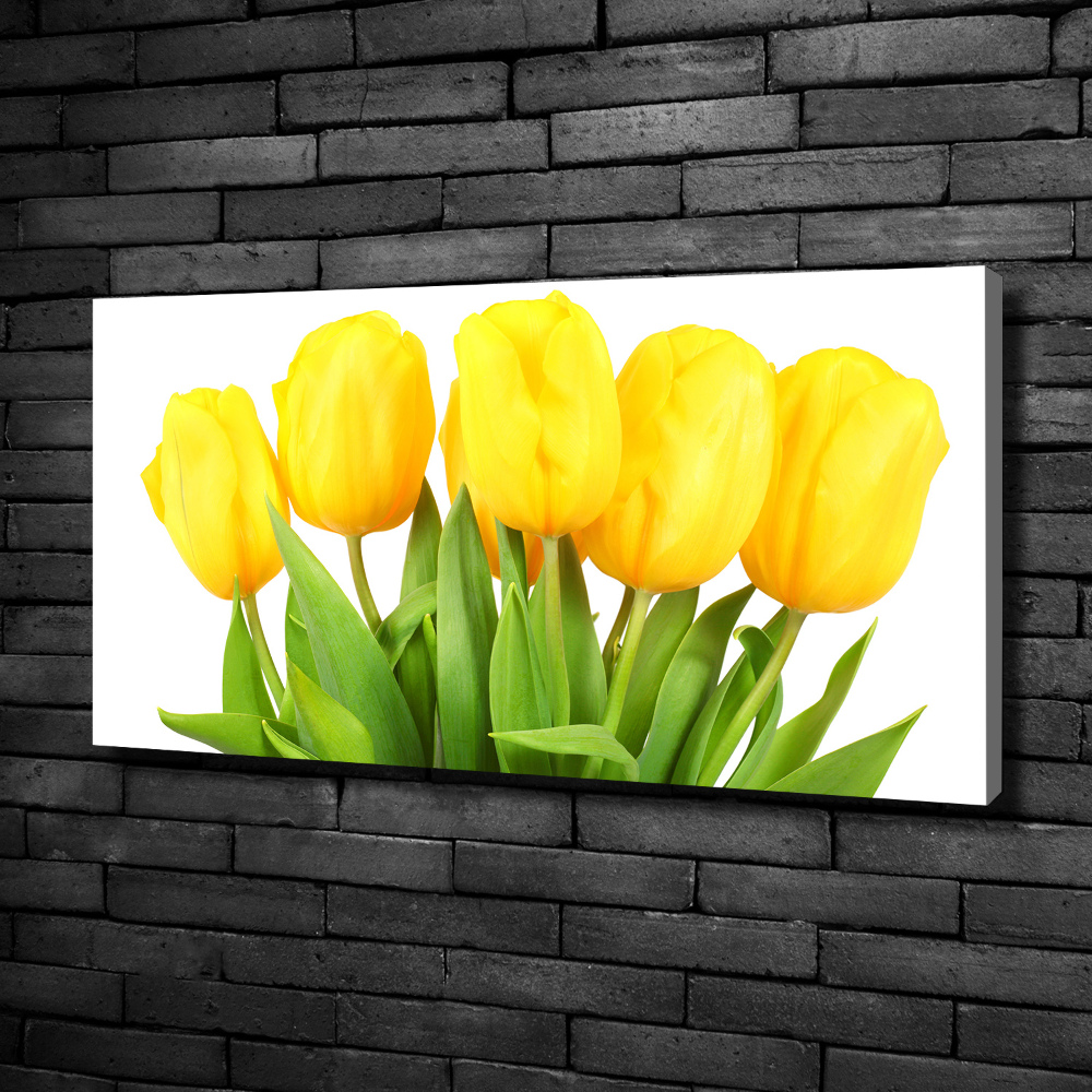 Tableau photo sur toile Tulipes jaunes