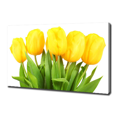 Tableau photo sur toile Tulipes jaunes