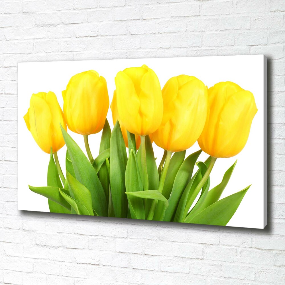 Tableau photo sur toile Tulipes jaunes