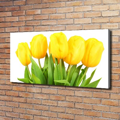 Tableau photo sur toile Tulipes jaunes