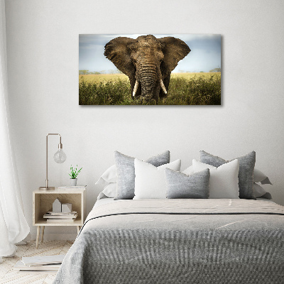 Tableau imprimé sur toile Eléphant dans la savane