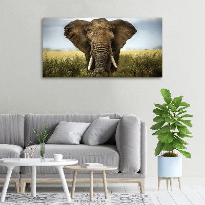 Tableau imprimé sur toile Eléphant dans la savane