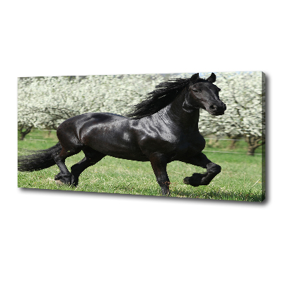 Tableau sur toile Cheval noir en fleurs