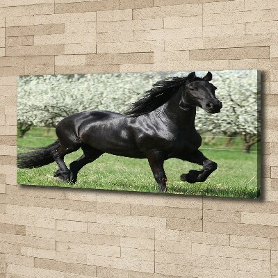 Tableau sur toile Cheval noir en fleurs