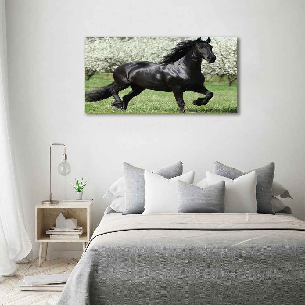 Tableau sur toile Cheval noir en fleurs