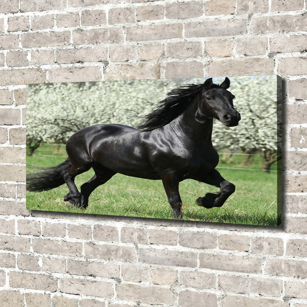 Tableau sur toile Cheval noir en fleurs