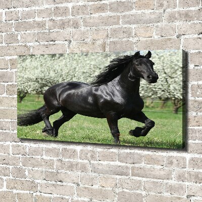 Tableau sur toile Cheval noir en fleurs