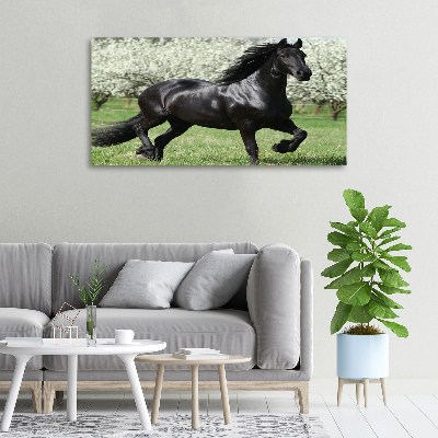 Tableau sur toile Cheval noir en fleurs