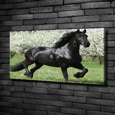 Tableau sur toile Cheval noir en fleurs