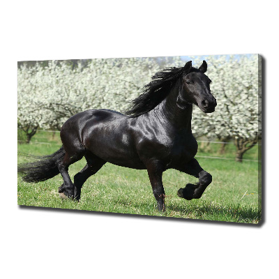 Tableau sur toile Cheval noir en fleurs