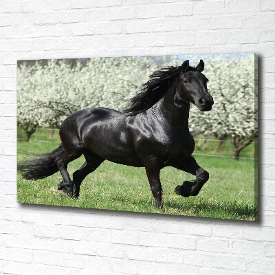 Tableau sur toile Cheval noir en fleurs