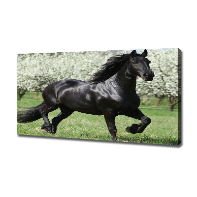 Tableau sur toile Cheval noir en fleurs