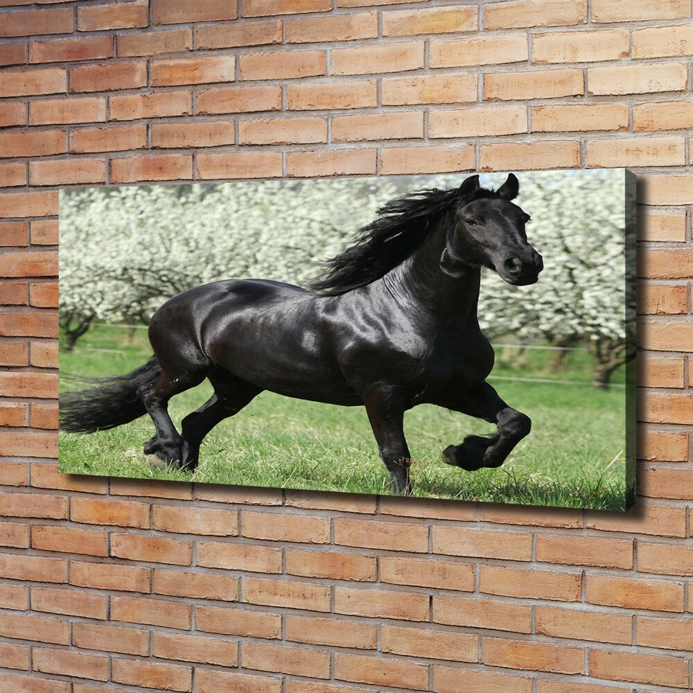 Tableau sur toile Cheval noir en fleurs