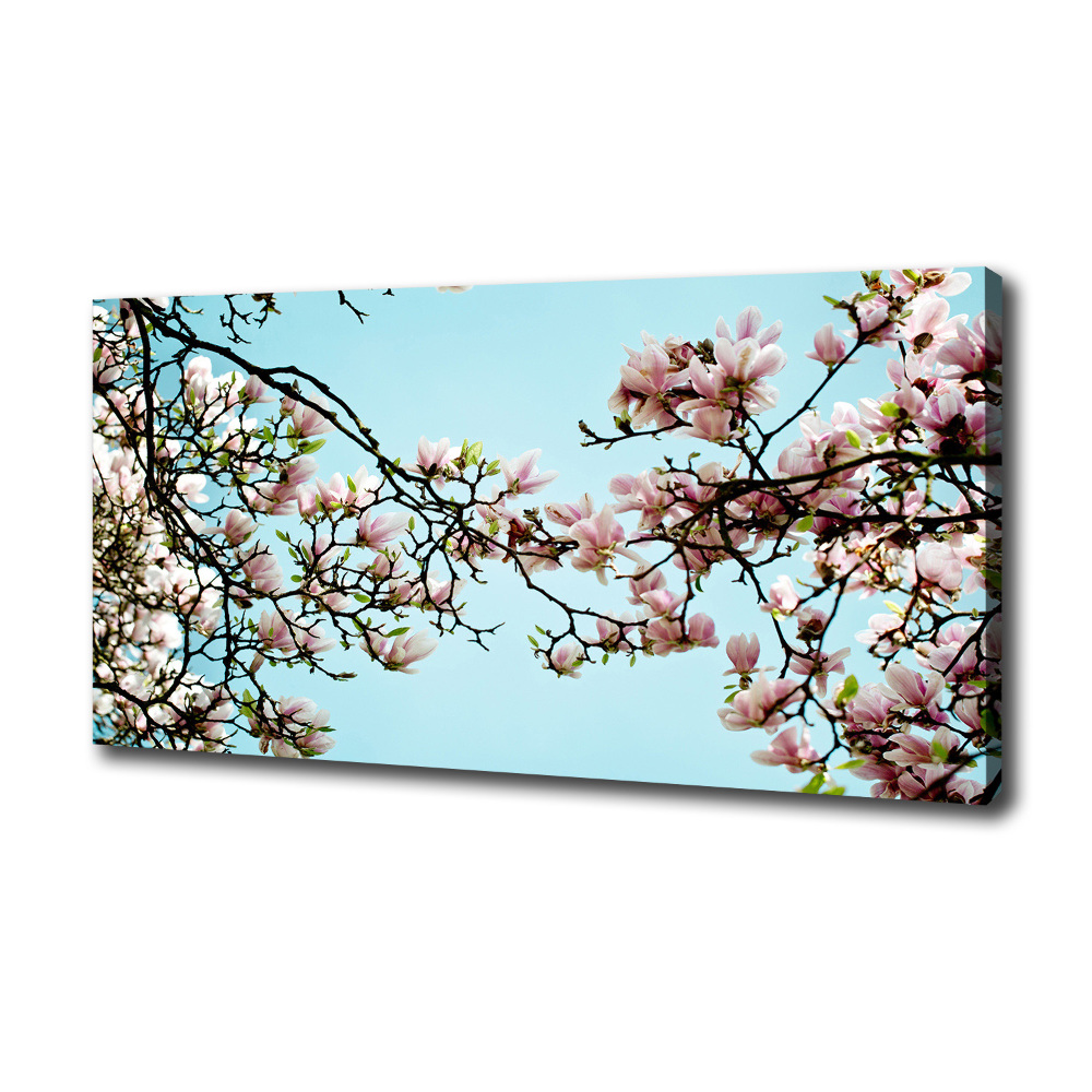 Tableau sur toile Fleurs de magnolia