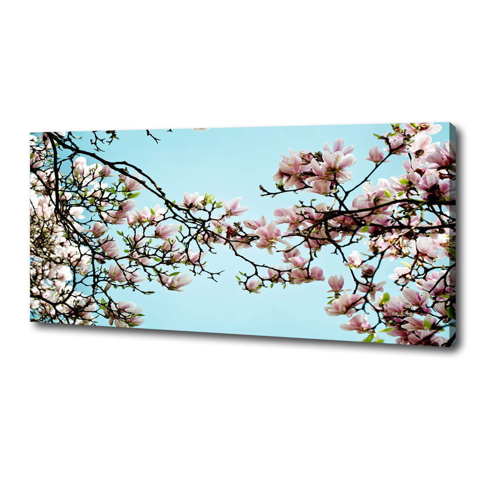 Tableau sur toile Fleurs de magnolia