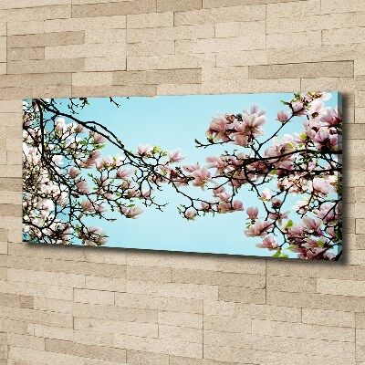 Tableau sur toile Fleurs de magnolia