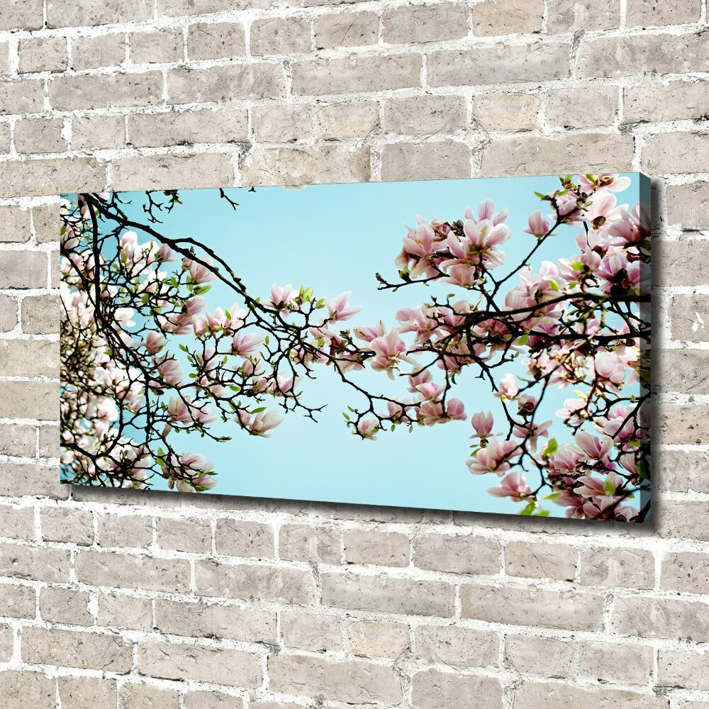 Tableau sur toile Fleurs de magnolia