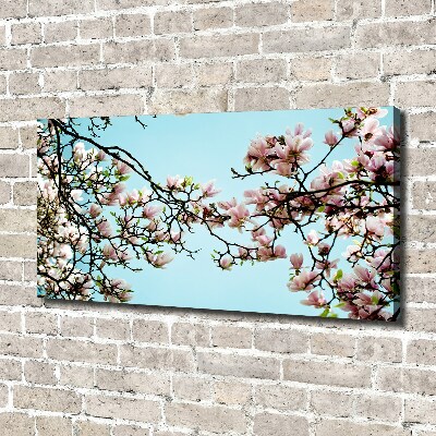 Tableau sur toile Fleurs de magnolia