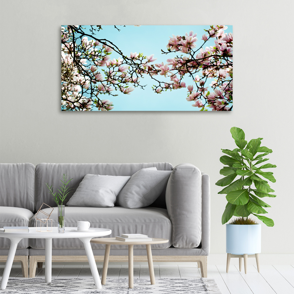 Tableau sur toile Fleurs de magnolia