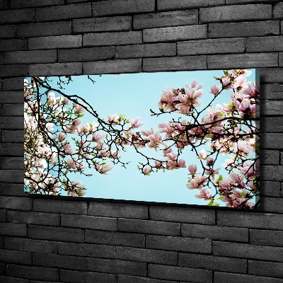 Tableau sur toile Fleurs de magnolia