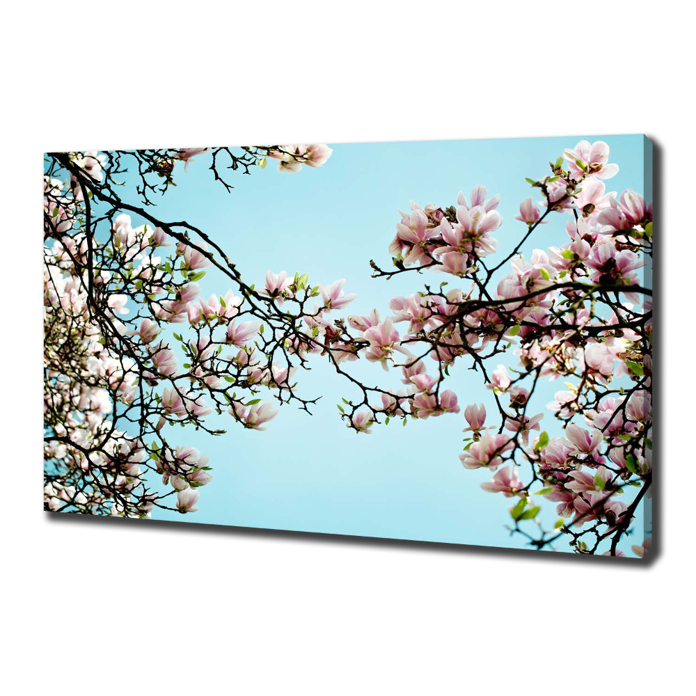 Tableau sur toile Fleurs de magnolia