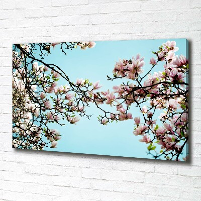 Tableau sur toile Fleurs de magnolia