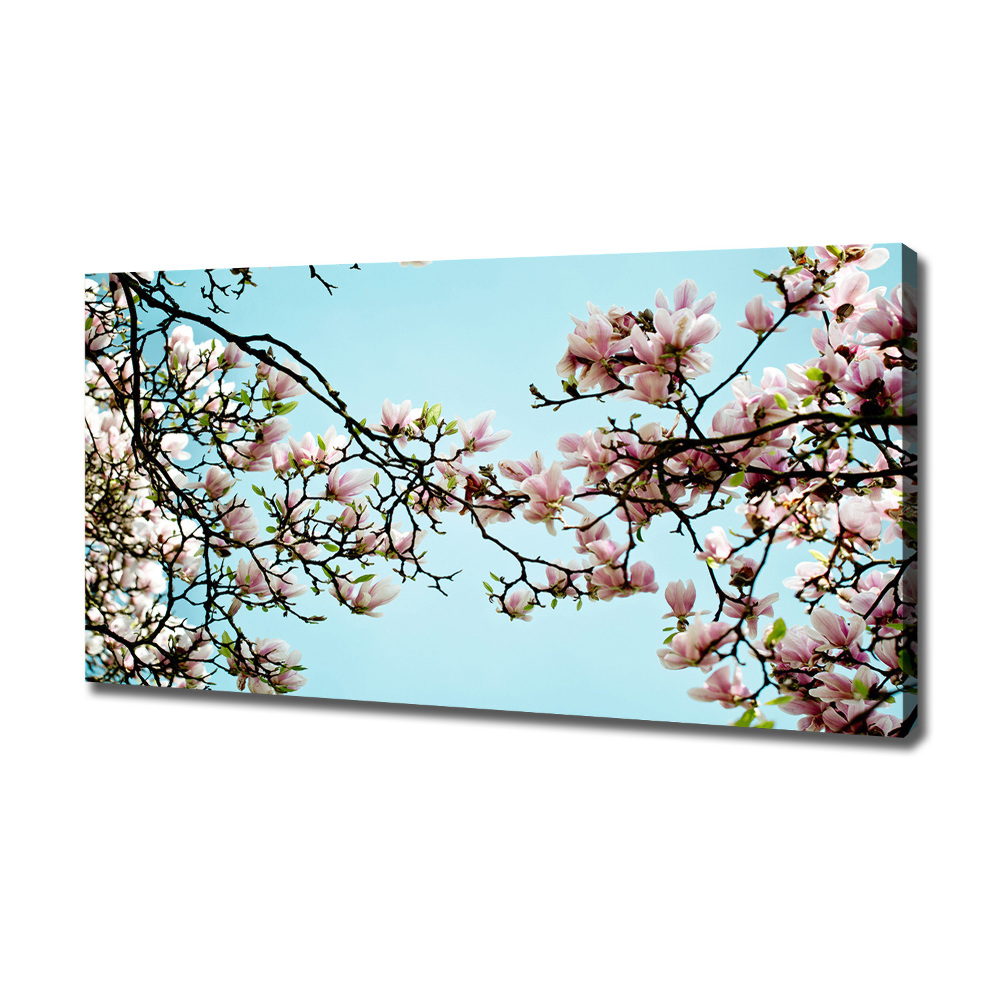 Tableau sur toile Fleurs de magnolia