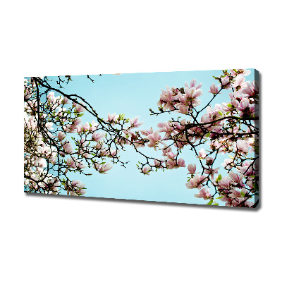 Tableau sur toile Fleurs de magnolia