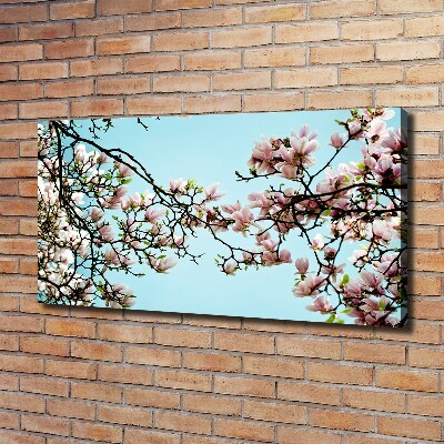 Tableau sur toile Fleurs de magnolia