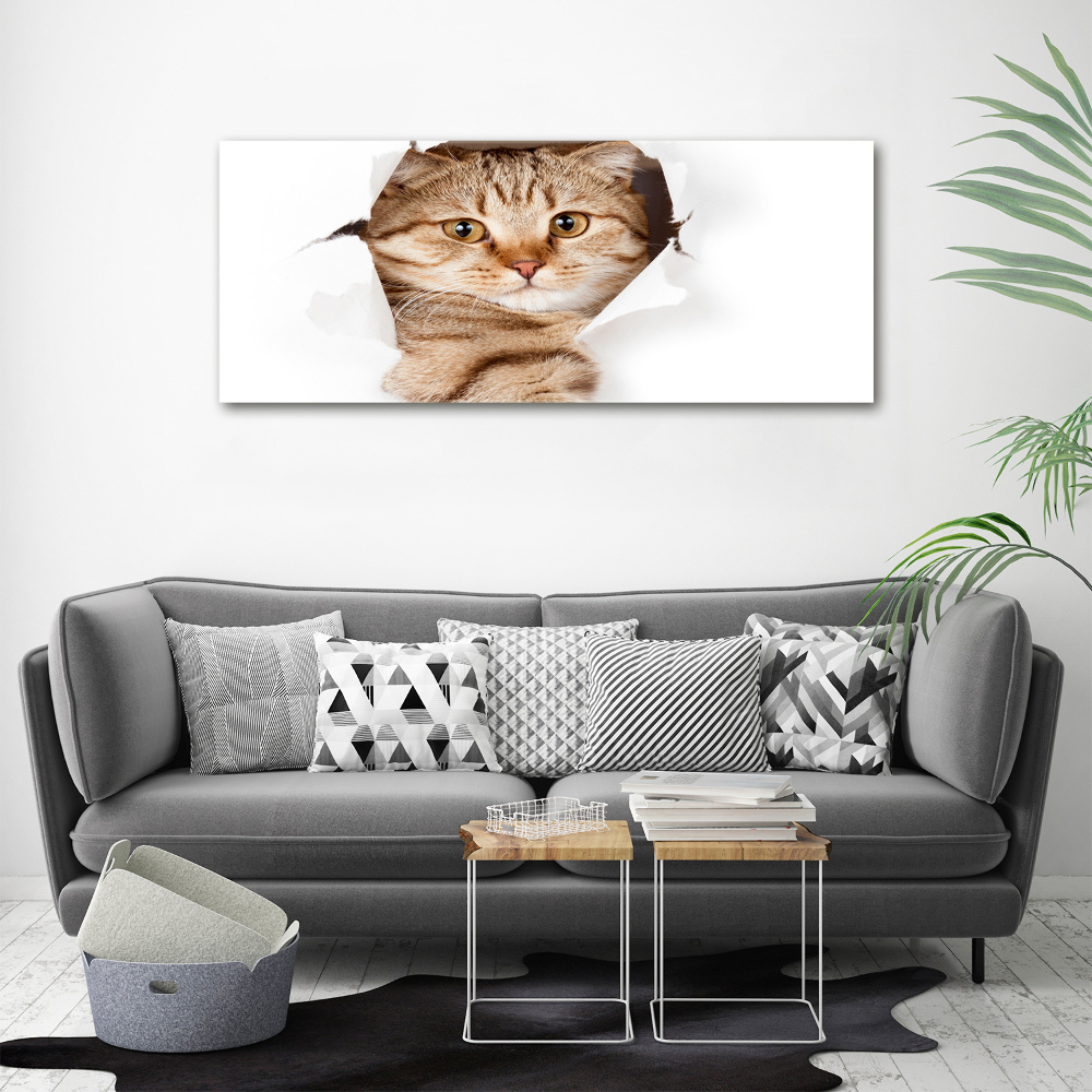 Tableau imprimé sur toile Chat