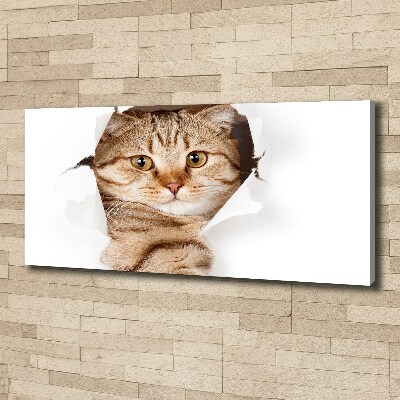 Tableau imprimé sur toile Chat