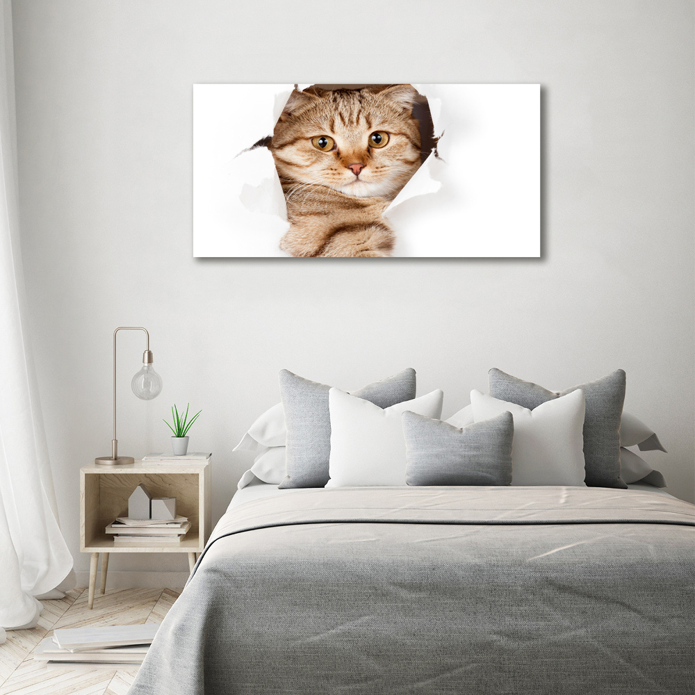 Tableau imprimé sur toile Chat